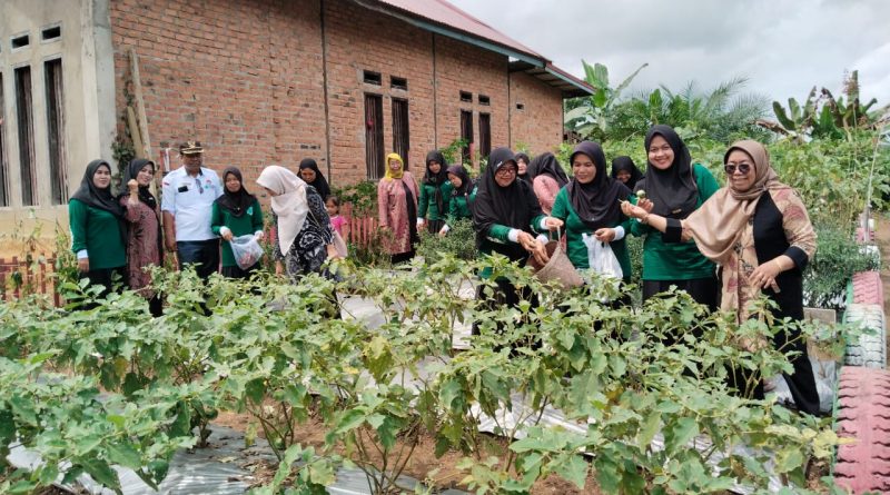 Pemda Paser Berikan Bibit Sayur dan Peralatan Dapur untuk 110 PKK Desa